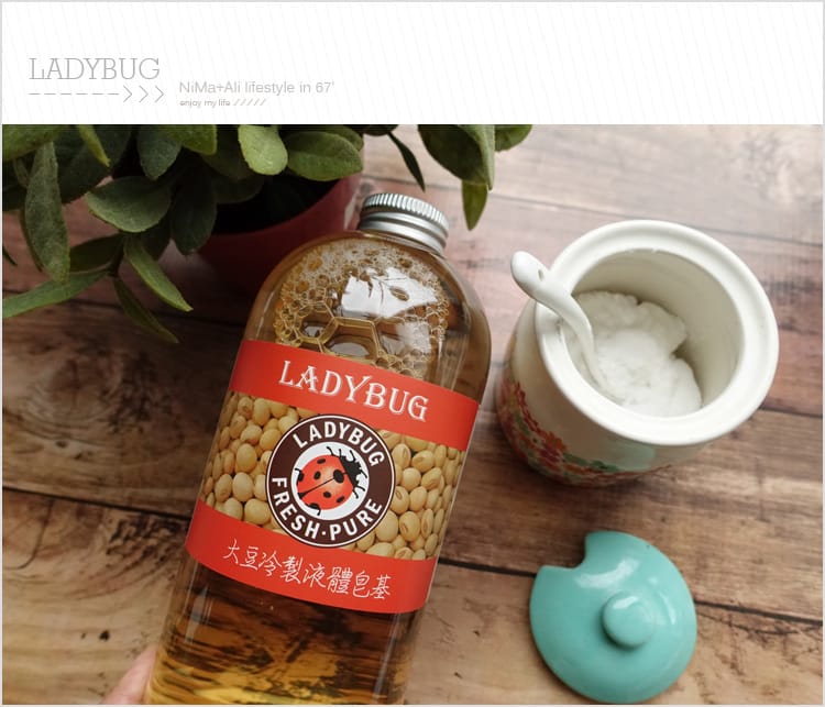 【皂基DIY】LADYBUG天然無毒環保清潔液:::液體皂基DIY屬於自己的香氣 - 第31張圖 【皂基DIY】LADYBUG天然無毒環保清潔液:::液體皂基DIY屬於自己的香氣