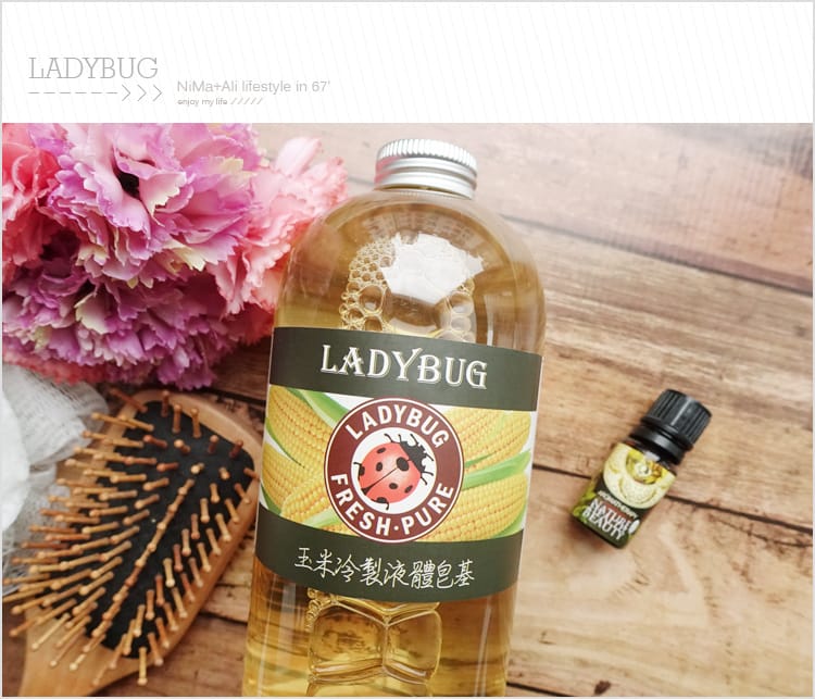 【皂基DIY】LADYBUG天然無毒環保清潔液:::液體皂基DIY屬於自己的香氣 - 第8張圖 【皂基DIY】LADYBUG天然無毒環保清潔液:::液體皂基DIY屬於自己的香氣