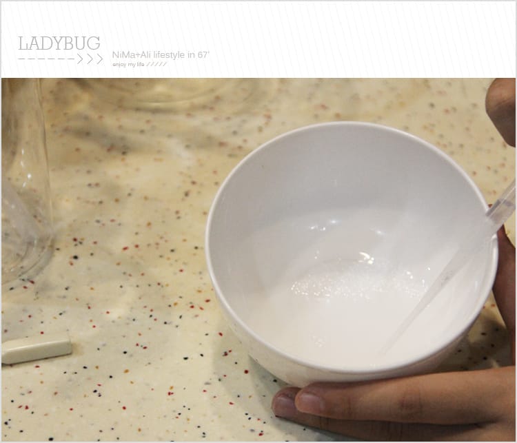 【皂基DIY】LADYBUG天然無毒環保清潔液:::液體皂基DIY屬於自己的香氣 - 第10張圖 【皂基DIY】LADYBUG天然無毒環保清潔液:::液體皂基DIY屬於自己的香氣