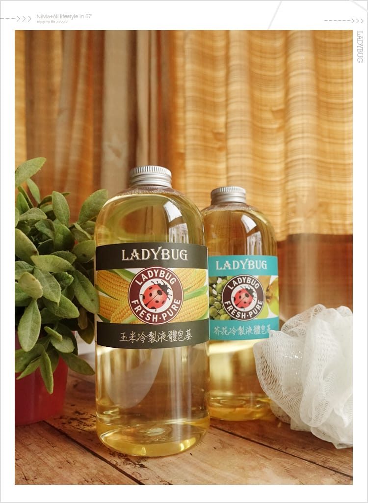 【皂基DIY】LADYBUG天然無毒環保清潔液:::液體皂基DIY屬於自己的香氣 - 第3張圖 【皂基DIY】LADYBUG天然無毒環保清潔液:::液體皂基DIY屬於自己的香氣