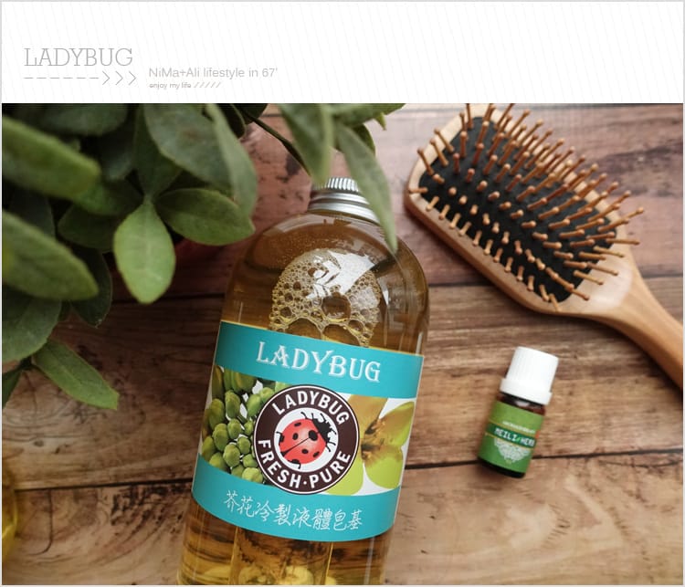 【皂基DIY】LADYBUG天然無毒環保清潔液:::液體皂基DIY屬於自己的香氣 - 第7張圖 【皂基DIY】LADYBUG天然無毒環保清潔液:::液體皂基DIY屬於自己的香氣