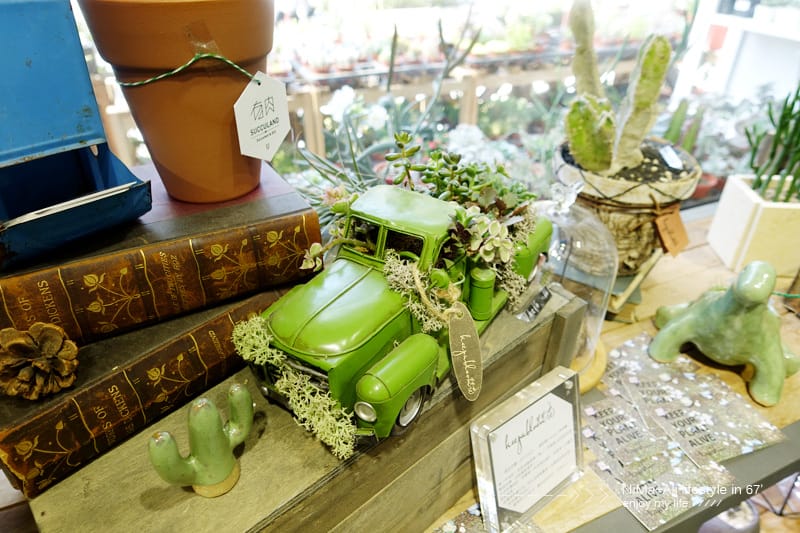 【DIY】有肉Succulent & Gift ::: 親子盆~婗的小豬感覺被COPY了!! - 第9張圖 【DIY】有肉Succulent & Gift ::: 親子盆~婗的小豬感覺被COPY了!!