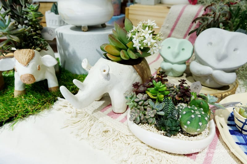 【DIY】有肉Succulent & Gift ::: 親子盆~婗的小豬感覺被COPY了!! - 第8張圖 【DIY】有肉Succulent & Gift ::: 親子盆~婗的小豬感覺被COPY了!!