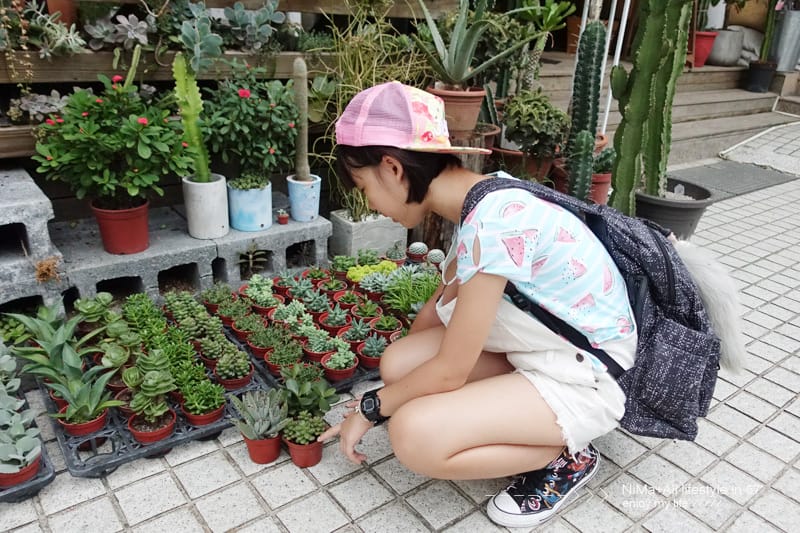 【DIY】有肉Succulent & Gift ::: 親子盆~婗的小豬感覺被COPY了!! - 第42張圖 【DIY】有肉Succulent & Gift ::: 親子盆~婗的小豬感覺被COPY了!!