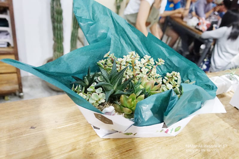 【DIY】有肉Succulent & Gift ::: 親子盆~婗的小豬感覺被COPY了!! - 第53張圖 【DIY】有肉Succulent & Gift ::: 親子盆~婗的小豬感覺被COPY了!!