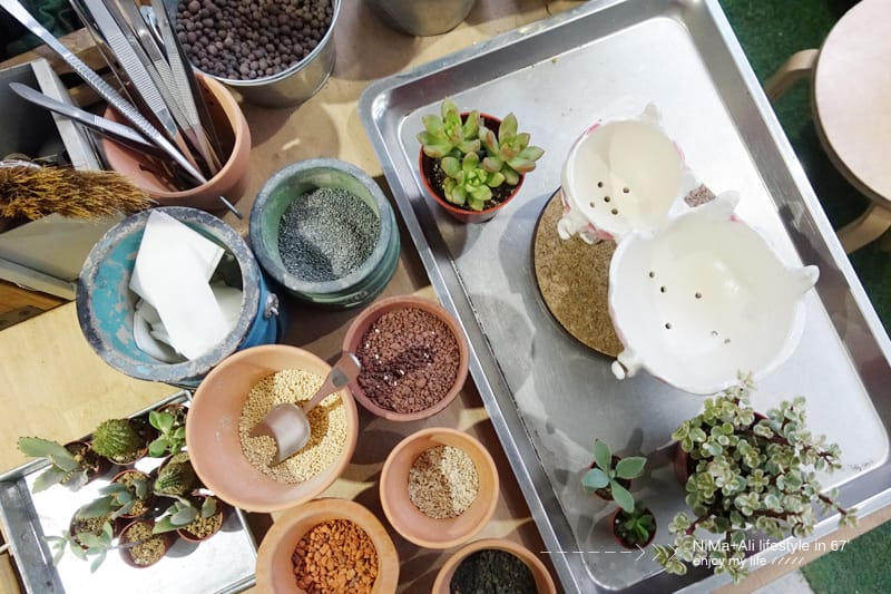 【DIY】有肉Succulent & Gift ::: 親子盆~婗的小豬感覺被COPY了!! - 第45張圖 【DIY】有肉Succulent & Gift ::: 親子盆~婗的小豬感覺被COPY了!!