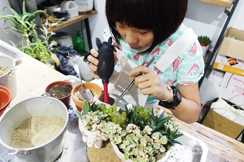【DIY】有肉Succulent & Gift ::: 親子盆~婗的小豬感覺被COPY了!! - 第49張圖 【DIY】有肉Succulent & Gift ::: 親子盆~婗的小豬感覺被COPY了!!