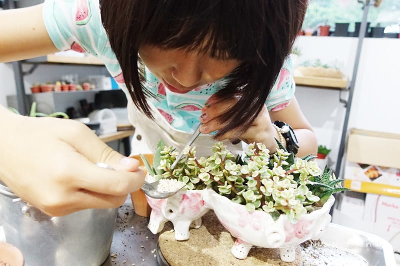 【DIY】有肉Succulent & Gift ::: 親子盆~婗的小豬感覺被COPY了!! - 第48張圖 【DIY】有肉Succulent & Gift ::: 親子盆~婗的小豬感覺被COPY了!!