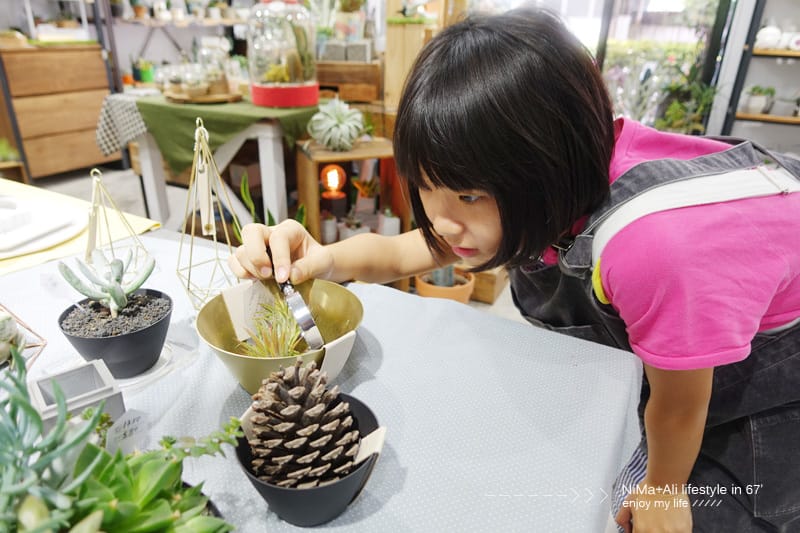 【DIY】有肉Succulent & Gift ::: 親子盆~婗的小豬感覺被COPY了!! - 第35張圖 【DIY】有肉Succulent & Gift ::: 親子盆~婗的小豬感覺被COPY了!!