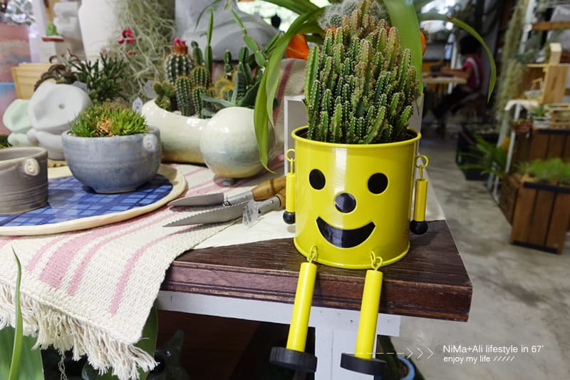 【DIY】有肉Succulent & Gift ::: 親子盆~婗的小豬感覺被COPY了!! - 第55張圖 【DIY】有肉Succulent & Gift ::: 親子盆~婗的小豬感覺被COPY了!!