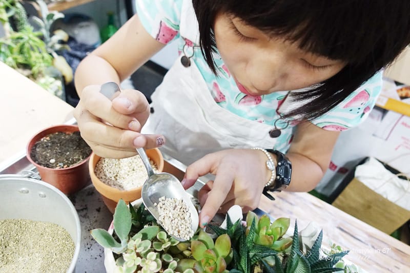 【DIY】有肉Succulent & Gift ::: 親子盆~婗的小豬感覺被COPY了!! - 第47張圖 【DIY】有肉Succulent & Gift ::: 親子盆~婗的小豬感覺被COPY了!!