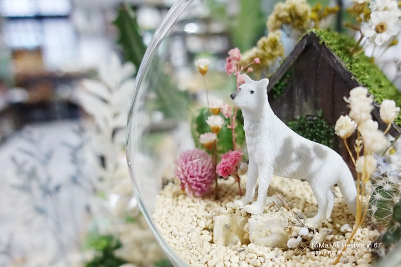 【DIY】有肉Succulent & Gift ::: 親子盆~婗的小豬感覺被COPY了!! - 第57張圖 【DIY】有肉Succulent & Gift ::: 親子盆~婗的小豬感覺被COPY了!!