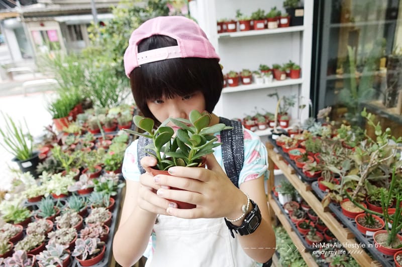 【DIY】有肉Succulent & Gift ::: 親子盆~婗的小豬感覺被COPY了!! - 第41張圖 【DIY】有肉Succulent & Gift ::: 親子盆~婗的小豬感覺被COPY了!!