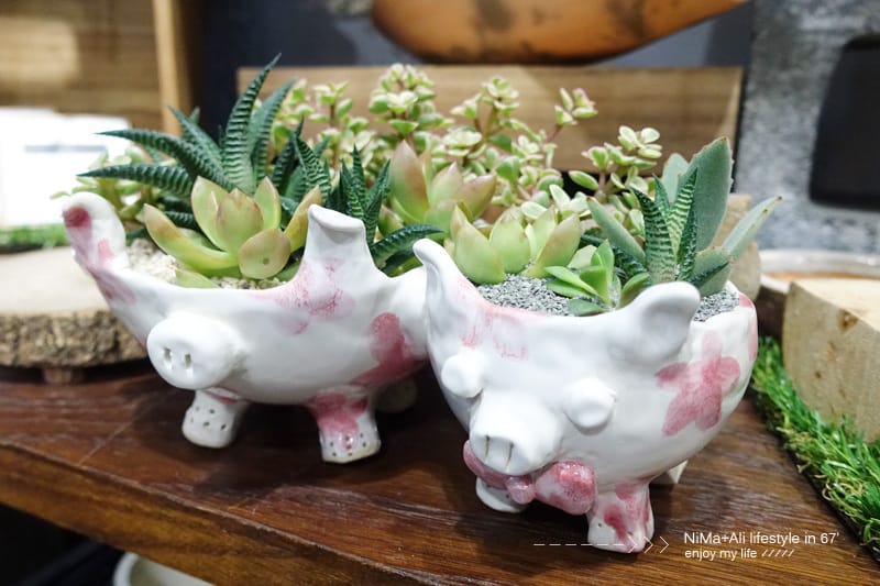 【DIY】有肉Succulent & Gift ::: 親子盆~婗的小豬感覺被COPY了!! - 第51張圖 【DIY】有肉Succulent & Gift ::: 親子盆~婗的小豬感覺被COPY了!!