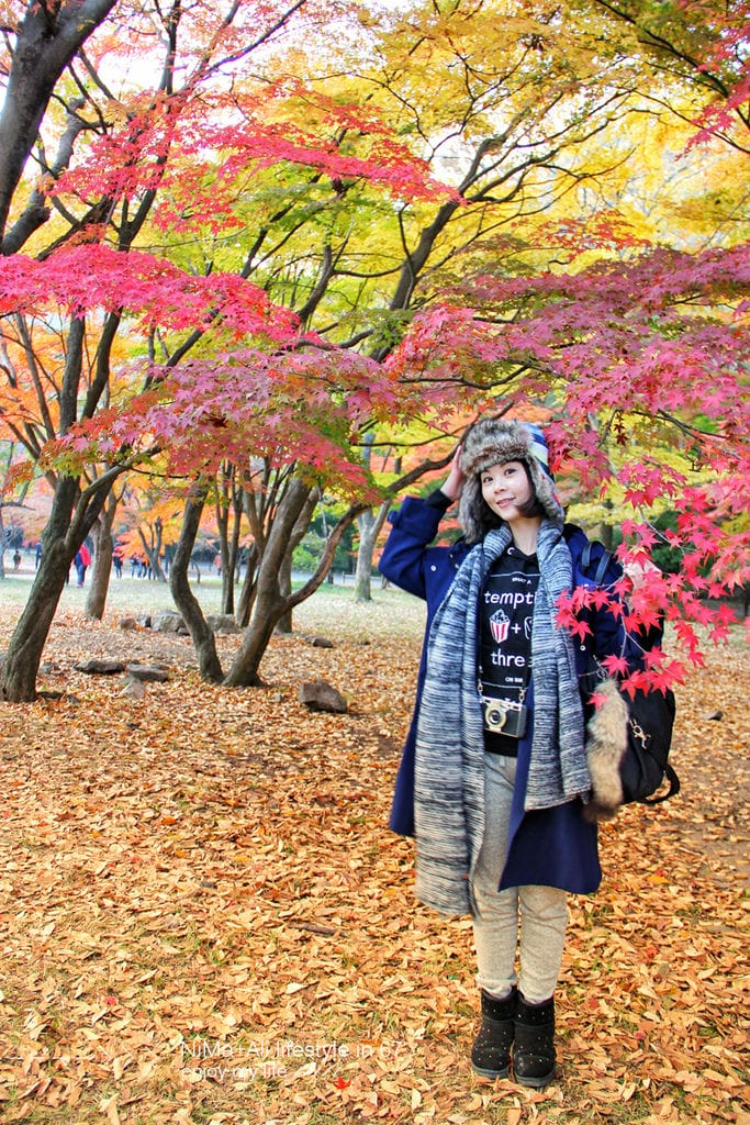 【婗媽看世界】韓國賞楓聖地:::內藏山國立公園내장산국립공원 沒有賞楓攻略~卻有如畫一般美麗的回憶! - 第38張圖 【婗媽看世界】韓國賞楓聖地:::內藏山國立公園내장산국립공원 沒有賞楓攻略~卻有如畫一般美麗的回憶!