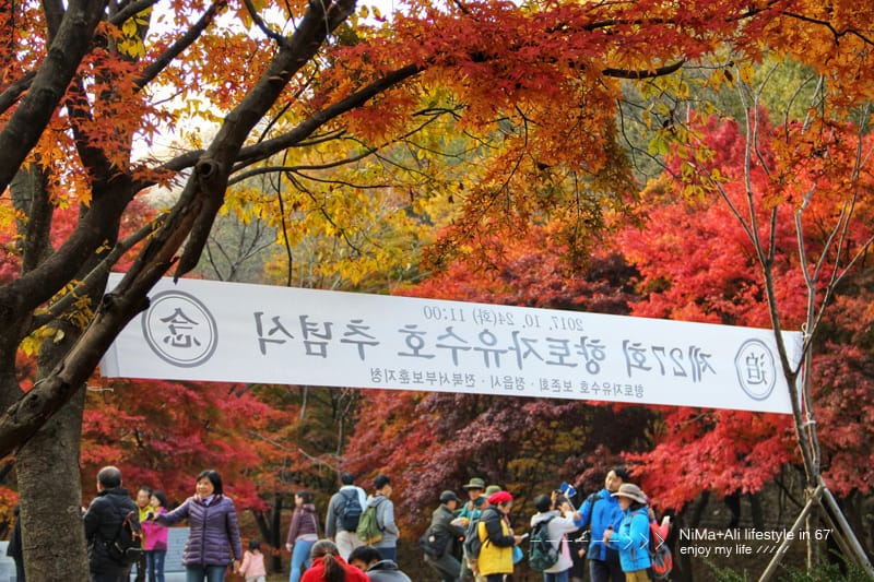 【婗媽看世界】韓國賞楓聖地:::內藏山國立公園내장산국립공원 沒有賞楓攻略~卻有如畫一般美麗的回憶! - 第6張圖 【婗媽看世界】韓國賞楓聖地:::內藏山國立公園내장산국립공원 沒有賞楓攻略~卻有如畫一般美麗的回憶!