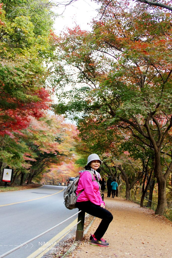 【婗媽看世界】韓國賞楓聖地:::內藏山國立公園내장산국립공원 沒有賞楓攻略~卻有如畫一般美麗的回憶! - 第45張圖 【婗媽看世界】韓國賞楓聖地:::內藏山國立公園내장산국립공원 沒有賞楓攻略~卻有如畫一般美麗的回憶!