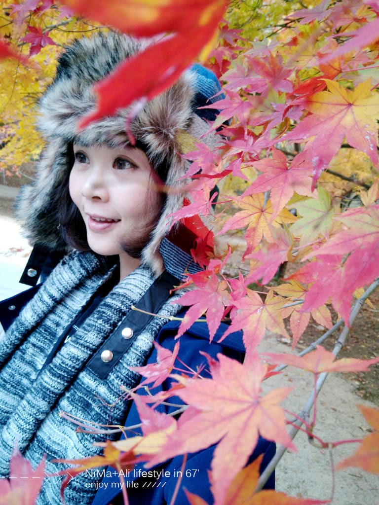 【婗媽看世界】韓國賞楓聖地:::內藏山國立公園내장산국립공원 沒有賞楓攻略~卻有如畫一般美麗的回憶! - 第57張圖 【婗媽看世界】韓國賞楓聖地:::內藏山國立公園내장산국립공원 沒有賞楓攻略~卻有如畫一般美麗的回憶!