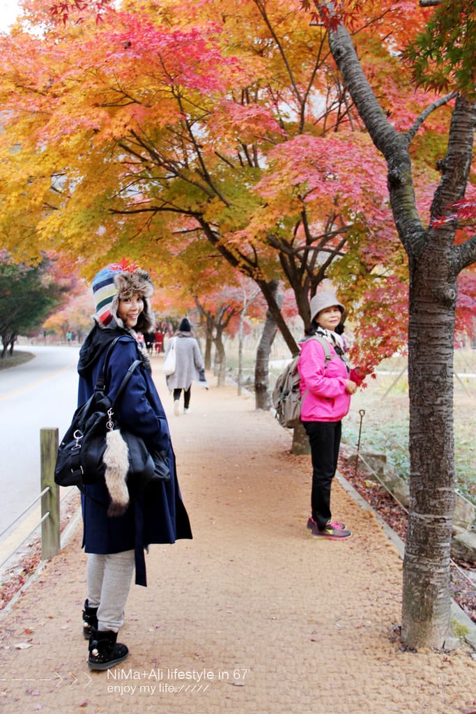 【婗媽看世界】韓國賞楓聖地:::內藏山國立公園내장산국립공원 沒有賞楓攻略~卻有如畫一般美麗的回憶! - 第55張圖 【婗媽看世界】韓國賞楓聖地:::內藏山國立公園내장산국립공원 沒有賞楓攻略~卻有如畫一般美麗的回憶!
