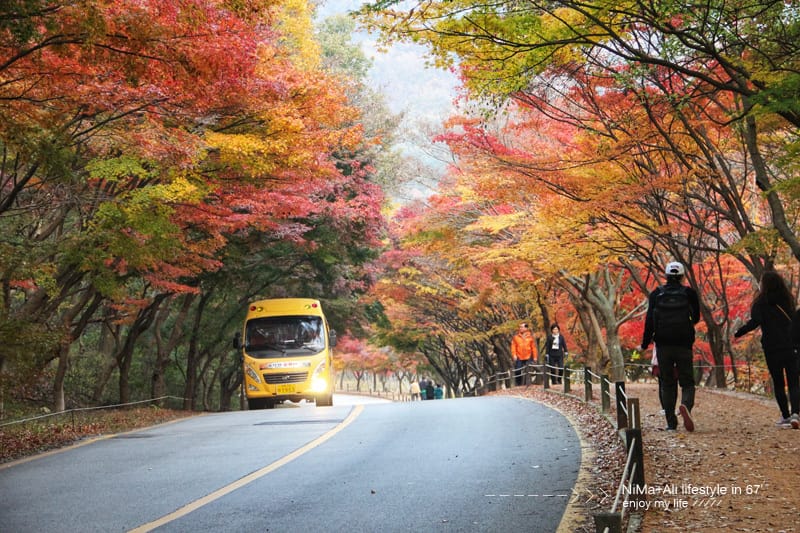 【婗媽看世界】韓國賞楓聖地:::內藏山國立公園내장산국립공원 沒有賞楓攻略~卻有如畫一般美麗的回憶! - 第49張圖 【婗媽看世界】韓國賞楓聖地:::內藏山國立公園내장산국립공원 沒有賞楓攻略~卻有如畫一般美麗的回憶!