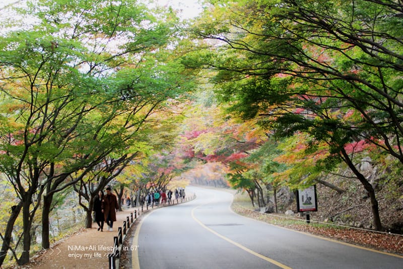 【婗媽看世界】韓國賞楓聖地:::內藏山國立公園내장산국립공원 沒有賞楓攻略~卻有如畫一般美麗的回憶! - 第53張圖 【婗媽看世界】韓國賞楓聖地:::內藏山國立公園내장산국립공원 沒有賞楓攻略~卻有如畫一般美麗的回憶!