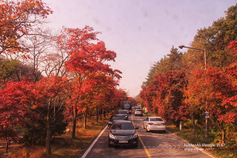 【婗媽看世界】韓國賞楓聖地:::內藏山國立公園내장산국립공원 沒有賞楓攻略~卻有如畫一般美麗的回憶! - 第4張圖 【婗媽看世界】韓國賞楓聖地:::內藏山國立公園내장산국립공원 沒有賞楓攻略~卻有如畫一般美麗的回憶!