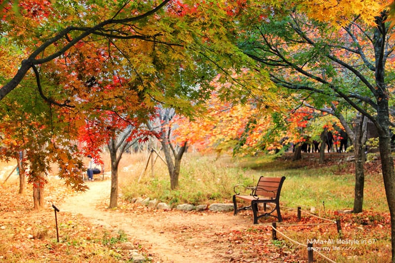 【婗媽看世界】韓國賞楓聖地:::內藏山國立公園내장산국립공원 沒有賞楓攻略~卻有如畫一般美麗的回憶! - 第36張圖 【婗媽看世界】韓國賞楓聖地:::內藏山國立公園내장산국립공원 沒有賞楓攻略~卻有如畫一般美麗的回憶!