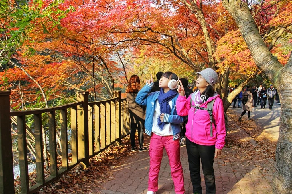【婗媽看世界】韓國賞楓聖地:::內藏山國立公園내장산국립공원 沒有賞楓攻略~卻有如畫一般美麗的回憶! - 第34張圖 【婗媽看世界】韓國賞楓聖地:::內藏山國立公園내장산국립공원 沒有賞楓攻略~卻有如畫一般美麗的回憶!