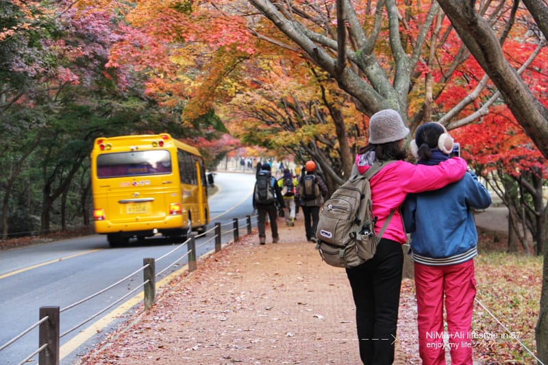 【婗媽看世界】韓國賞楓聖地:::內藏山國立公園내장산국립공원 沒有賞楓攻略~卻有如畫一般美麗的回憶! - 第50張圖 【婗媽看世界】韓國賞楓聖地:::內藏山國立公園내장산국립공원 沒有賞楓攻略~卻有如畫一般美麗的回憶!
