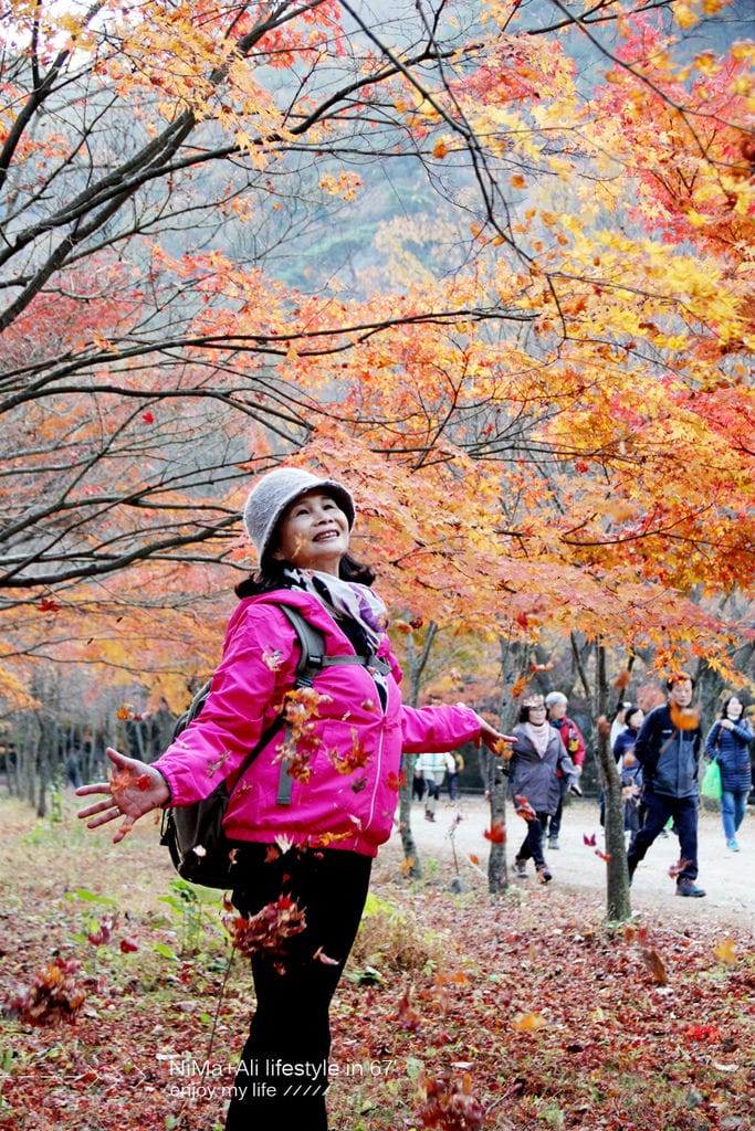 【婗媽看世界】韓國賞楓聖地:::內藏山國立公園내장산국립공원 沒有賞楓攻略~卻有如畫一般美麗的回憶! - 第23張圖 【婗媽看世界】韓國賞楓聖地:::內藏山國立公園내장산국립공원 沒有賞楓攻略~卻有如畫一般美麗的回憶!