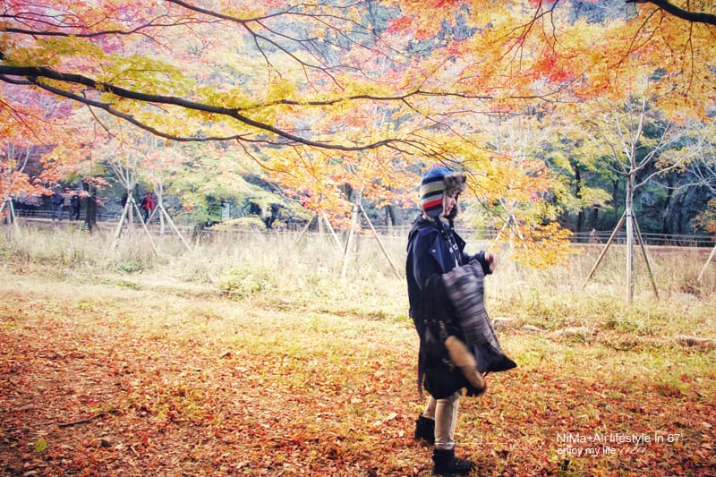 【婗媽看世界】韓國賞楓聖地:::內藏山國立公園내장산국립공원 沒有賞楓攻略~卻有如畫一般美麗的回憶! - 第43張圖 【婗媽看世界】韓國賞楓聖地:::內藏山國立公園내장산국립공원 沒有賞楓攻略~卻有如畫一般美麗的回憶!
