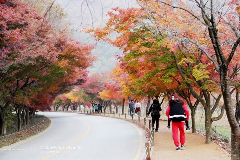 【婗媽看世界】韓國賞楓聖地:::內藏山國立公園내장산국립공원 沒有賞楓攻略~卻有如畫一般美麗的回憶! - 第52張圖 【婗媽看世界】韓國賞楓聖地:::內藏山國立公園내장산국립공원 沒有賞楓攻略~卻有如畫一般美麗的回憶!