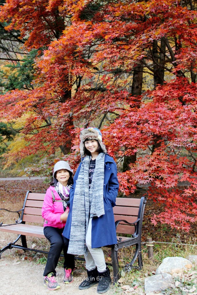 【婗媽看世界】韓國賞楓聖地:::內藏山國立公園내장산국립공원 沒有賞楓攻略~卻有如畫一般美麗的回憶! - 第32張圖 【婗媽看世界】韓國賞楓聖地:::內藏山國立公園내장산국립공원 沒有賞楓攻略~卻有如畫一般美麗的回憶!