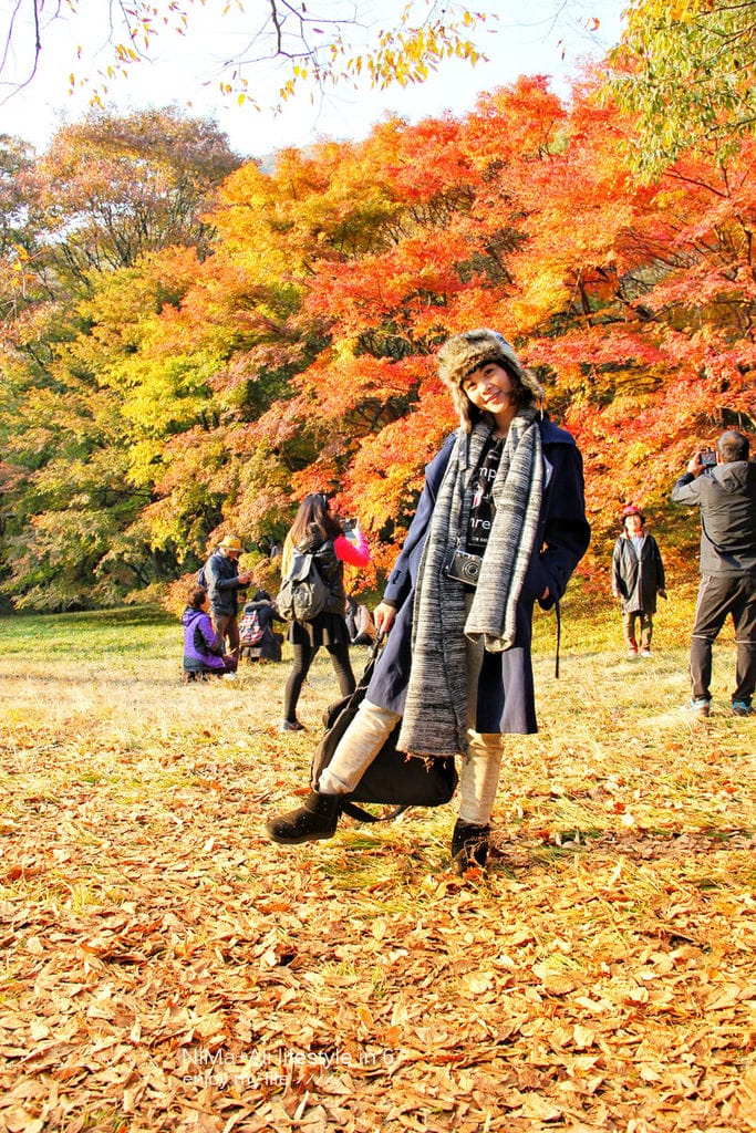 【婗媽看世界】韓國賞楓聖地:::內藏山國立公園내장산국립공원 沒有賞楓攻略~卻有如畫一般美麗的回憶! - 第22張圖 【婗媽看世界】韓國賞楓聖地:::內藏山國立公園내장산국립공원 沒有賞楓攻略~卻有如畫一般美麗的回憶!