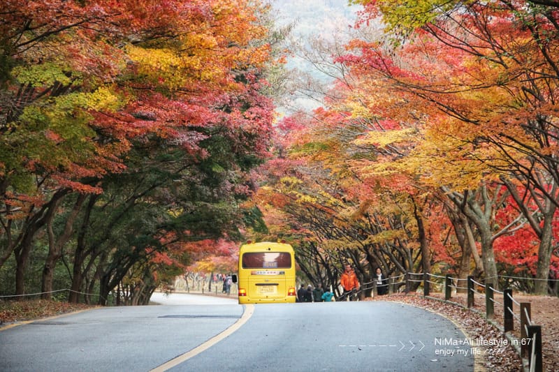 【婗媽看世界】韓國賞楓聖地:::內藏山國立公園내장산국립공원 沒有賞楓攻略~卻有如畫一般美麗的回憶! - 第48張圖 【婗媽看世界】韓國賞楓聖地:::內藏山國立公園내장산국립공원 沒有賞楓攻略~卻有如畫一般美麗的回憶!
