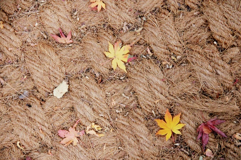 【婗媽看世界】韓國賞楓聖地:::內藏山國立公園내장산국립공원 沒有賞楓攻略~卻有如畫一般美麗的回憶! - 第46張圖 【婗媽看世界】韓國賞楓聖地:::內藏山國立公園내장산국립공원 沒有賞楓攻略~卻有如畫一般美麗的回憶!