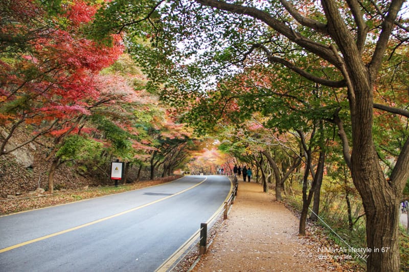 【婗媽看世界】韓國賞楓聖地:::內藏山國立公園내장산국립공원 沒有賞楓攻略~卻有如畫一般美麗的回憶! - 第47張圖 【婗媽看世界】韓國賞楓聖地:::內藏山國立公園내장산국립공원 沒有賞楓攻略~卻有如畫一般美麗的回憶!