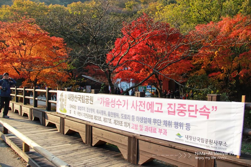 【婗媽看世界】韓國賞楓聖地:::內藏山國立公園내장산국립공원 沒有賞楓攻略~卻有如畫一般美麗的回憶! - 第5張圖 【婗媽看世界】韓國賞楓聖地:::內藏山國立公園내장산국립공원 沒有賞楓攻略~卻有如畫一般美麗的回憶!