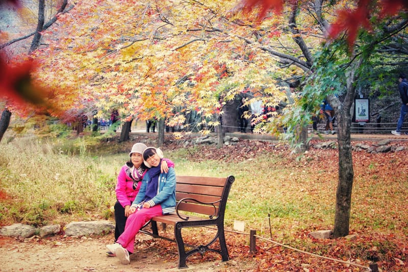 【婗媽看世界】韓國賞楓聖地:::內藏山國立公園내장산국립공원 沒有賞楓攻略~卻有如畫一般美麗的回憶! - 第37張圖 【婗媽看世界】韓國賞楓聖地:::內藏山國立公園내장산국립공원 沒有賞楓攻略~卻有如畫一般美麗的回憶!