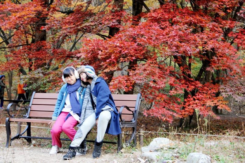 【婗媽看世界】韓國賞楓聖地:::內藏山國立公園내장산국립공원 沒有賞楓攻略~卻有如畫一般美麗的回憶! - 第25張圖 【婗媽看世界】韓國賞楓聖地:::內藏山國立公園내장산국립공원 沒有賞楓攻略~卻有如畫一般美麗的回憶!