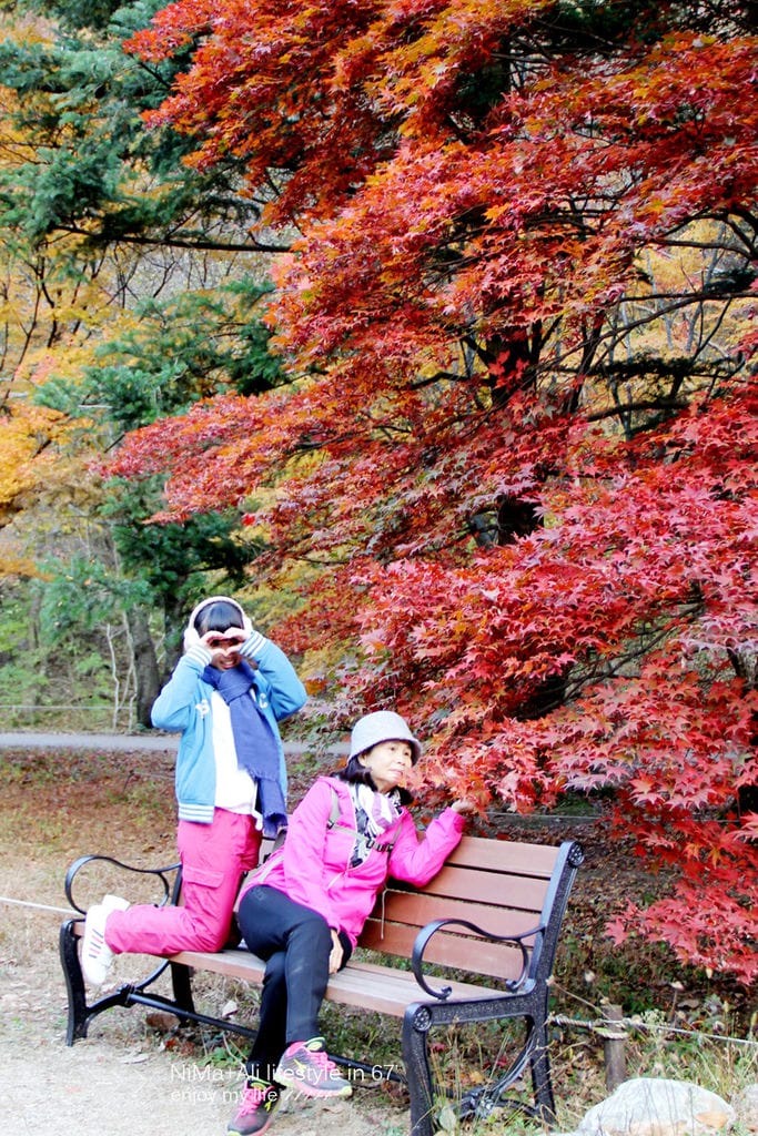 【婗媽看世界】韓國賞楓聖地:::內藏山國立公園내장산국립공원 沒有賞楓攻略~卻有如畫一般美麗的回憶! - 第31張圖 【婗媽看世界】韓國賞楓聖地:::內藏山國立公園내장산국립공원 沒有賞楓攻略~卻有如畫一般美麗的回憶!