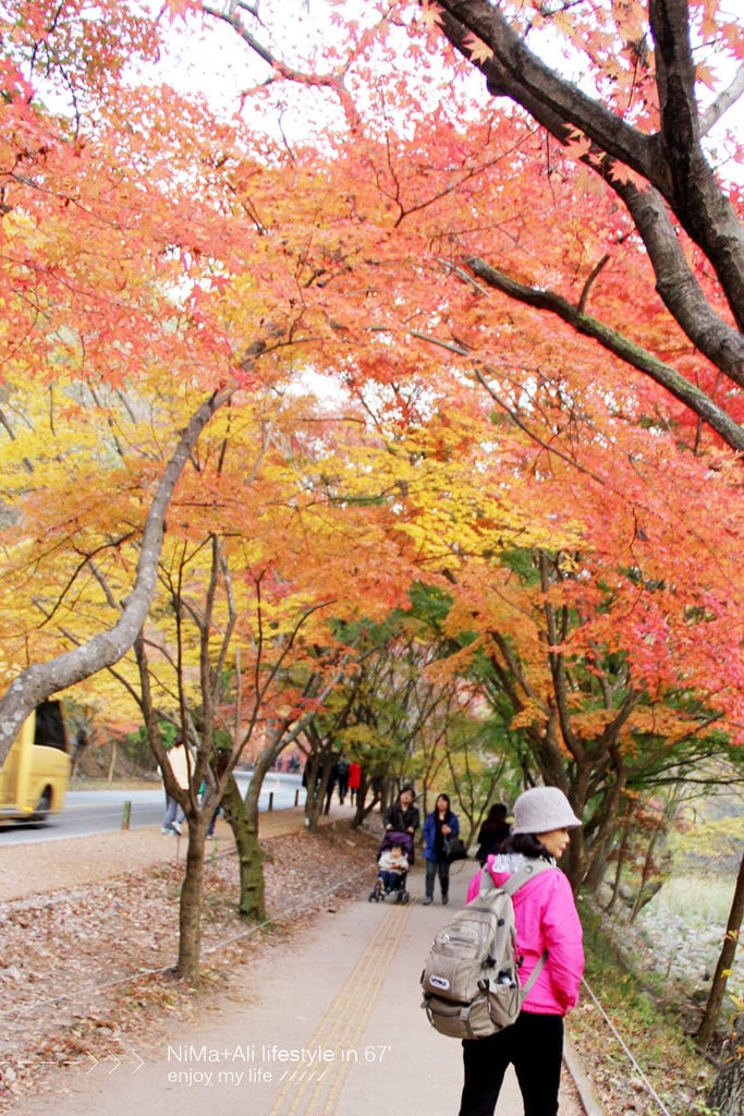 【婗媽看世界】韓國賞楓聖地:::內藏山國立公園내장산국립공원 沒有賞楓攻略~卻有如畫一般美麗的回憶! - 第44張圖 【婗媽看世界】韓國賞楓聖地:::內藏山國立公園내장산국립공원 沒有賞楓攻略~卻有如畫一般美麗的回憶!