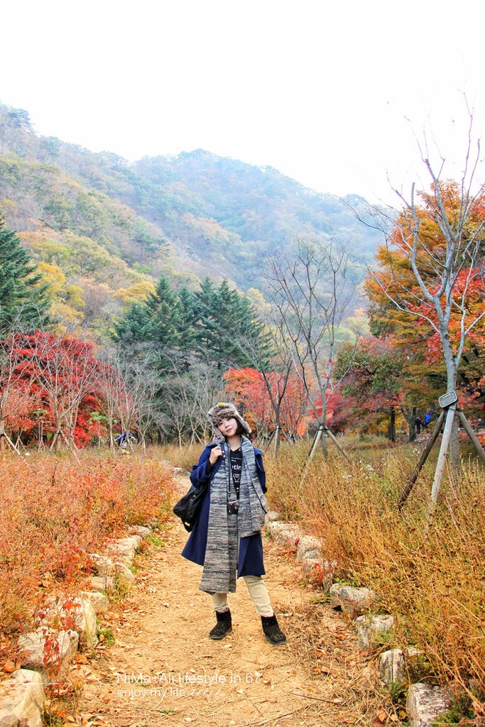 【婗媽看世界】韓國賞楓聖地:::內藏山國立公園내장산국립공원 沒有賞楓攻略~卻有如畫一般美麗的回憶! - 第41張圖 【婗媽看世界】韓國賞楓聖地:::內藏山國立公園내장산국립공원 沒有賞楓攻略~卻有如畫一般美麗的回憶!
