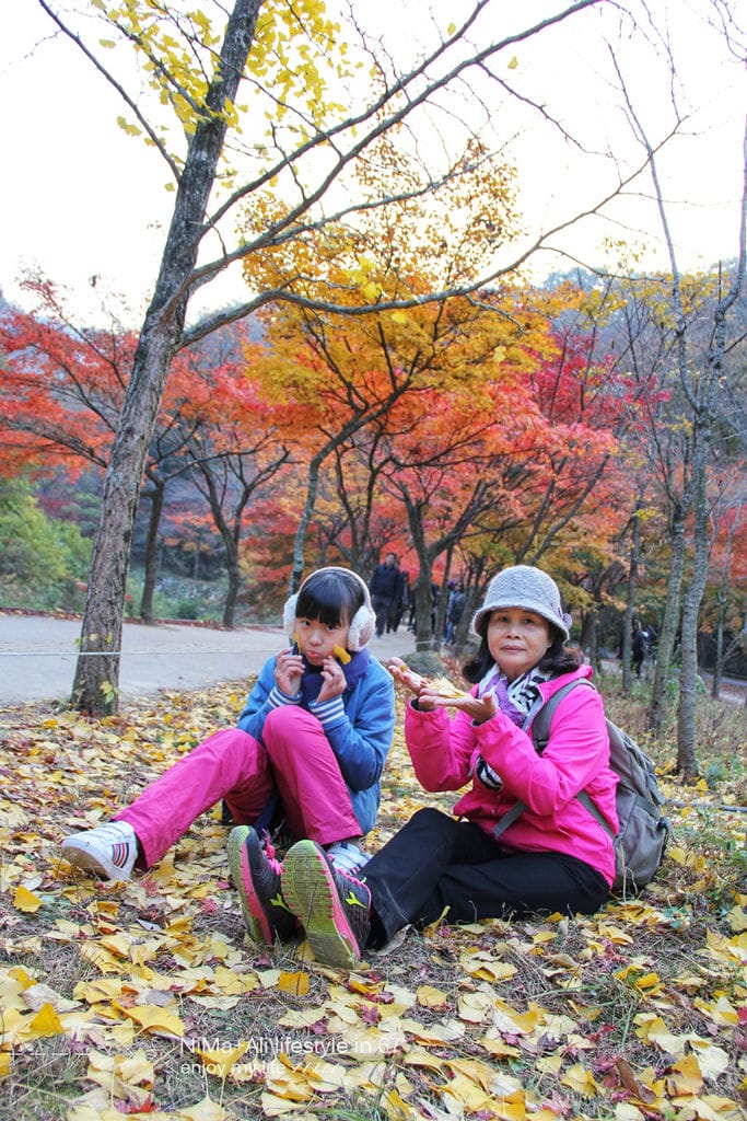 【婗媽看世界】韓國賞楓聖地:::內藏山國立公園내장산국립공원 沒有賞楓攻略~卻有如畫一般美麗的回憶! - 第18張圖 【婗媽看世界】韓國賞楓聖地:::內藏山國立公園내장산국립공원 沒有賞楓攻略~卻有如畫一般美麗的回憶!
