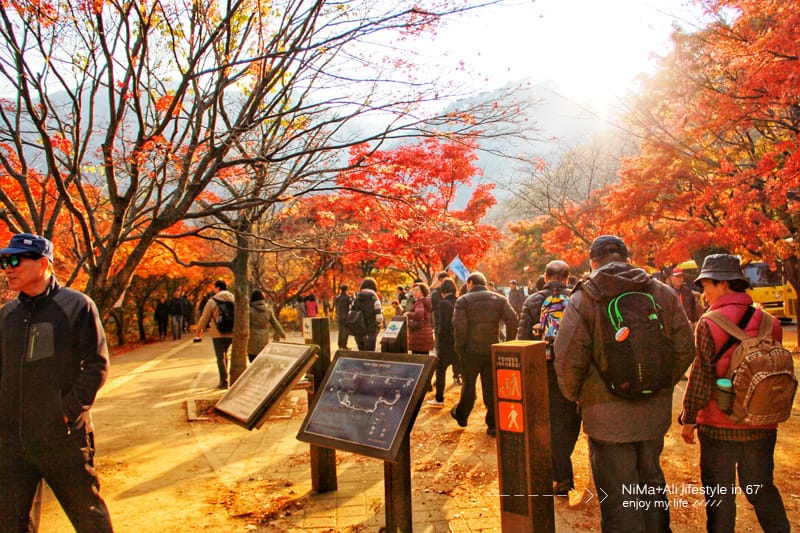 【婗媽看世界】韓國賞楓聖地:::內藏山國立公園내장산국립공원 沒有賞楓攻略~卻有如畫一般美麗的回憶! - 第10張圖 【婗媽看世界】韓國賞楓聖地:::內藏山國立公園내장산국립공원 沒有賞楓攻略~卻有如畫一般美麗的回憶!