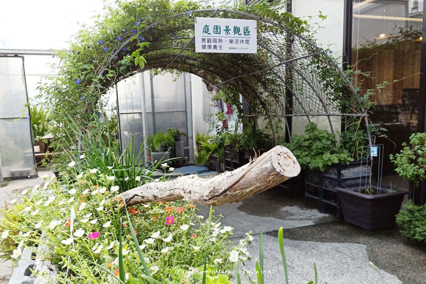 彰化:::有機養生之旅│新農匯神農物流市集,自己採的菜最新鮮~藥膳鍋鮮甜好吃! - 第28張圖 彰化:::有機養生之旅│新農匯神農物流市集,自己採的菜最新鮮~藥膳鍋鮮甜好吃!