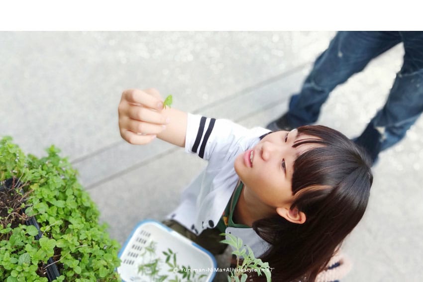 彰化:::有機養生之旅│新農匯神農物流市集,自己採的菜最新鮮~藥膳鍋鮮甜好吃! - 第18張圖 彰化:::有機養生之旅│新農匯神農物流市集,自己採的菜最新鮮~藥膳鍋鮮甜好吃!