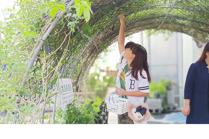彰化:::有機養生之旅│新農匯神農物流市集,自己採的菜最新鮮~藥膳鍋鮮甜好吃! - 第39張圖 彰化:::有機養生之旅│新農匯神農物流市集,自己採的菜最新鮮~藥膳鍋鮮甜好吃!