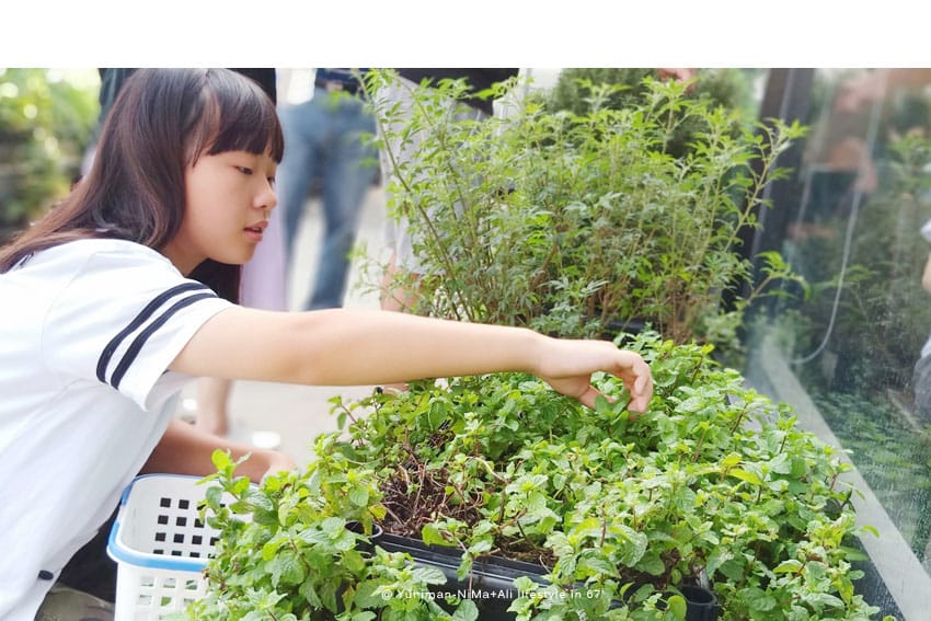 彰化:::有機養生之旅│新農匯神農物流市集,自己採的菜最新鮮~藥膳鍋鮮甜好吃! - 第24張圖 彰化:::有機養生之旅│新農匯神農物流市集,自己採的菜最新鮮~藥膳鍋鮮甜好吃!