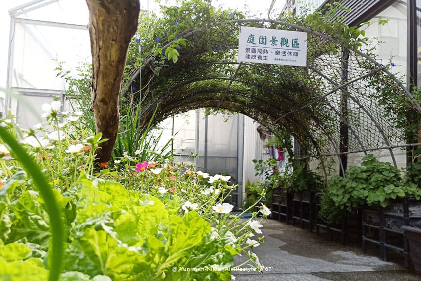 彰化:::有機養生之旅│新農匯神農物流市集,自己採的菜最新鮮~藥膳鍋鮮甜好吃! - 第27張圖 彰化:::有機養生之旅│新農匯神農物流市集,自己採的菜最新鮮~藥膳鍋鮮甜好吃!